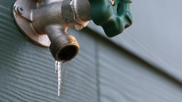Best Plumbing Services Near Me  in Vicksburg, MI