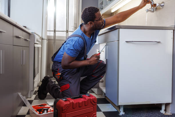 Best Residential Plumbing Services  in Vicksburg, MI